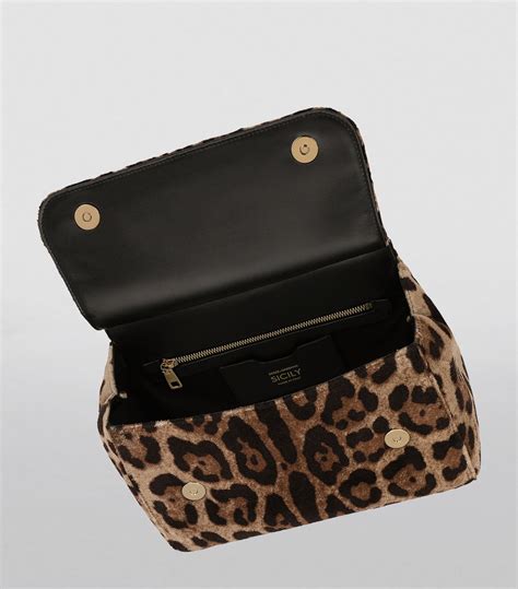 dolce gabbana bag leopard|dolce and gabbana makeup bag.